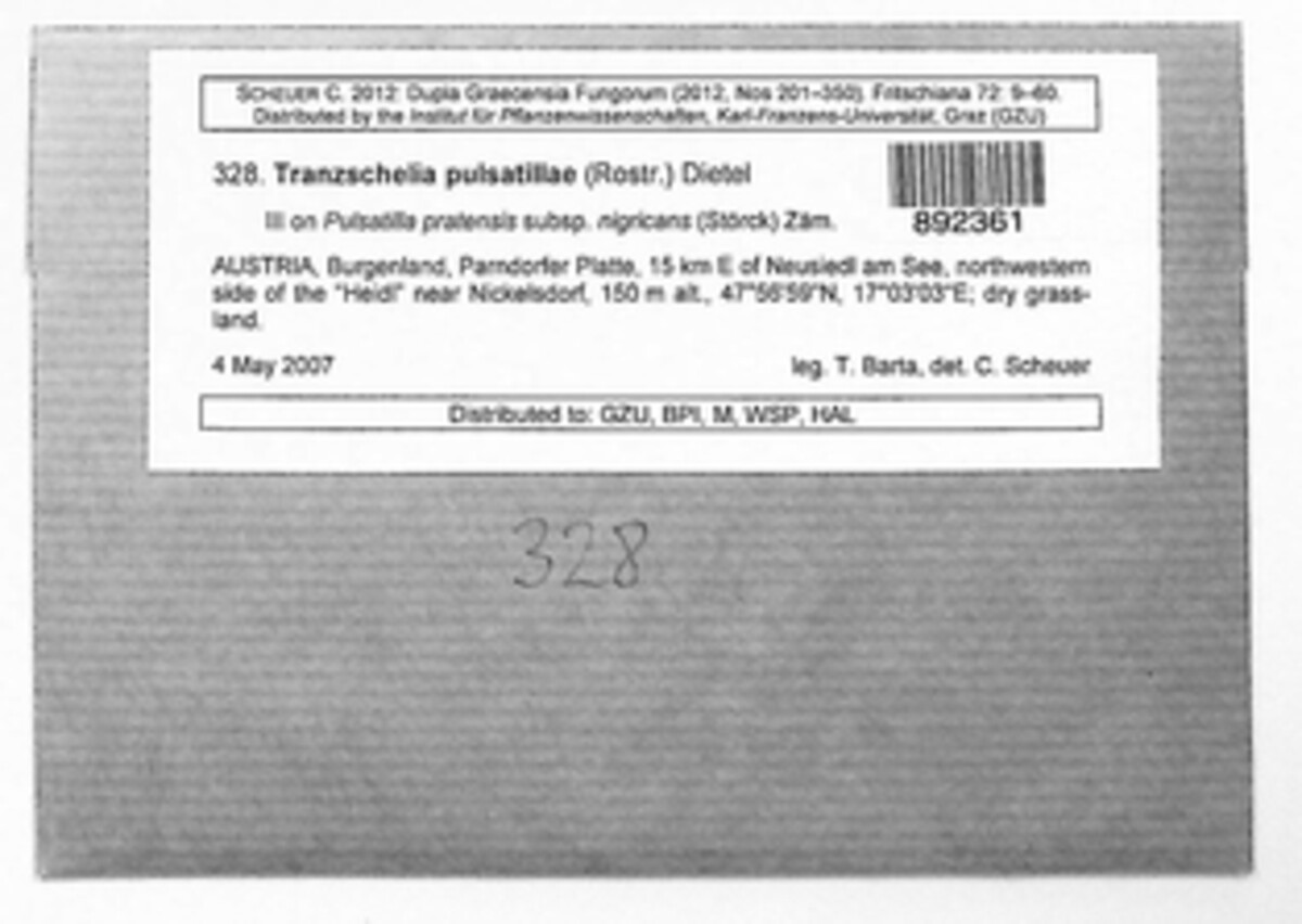 Tranzschelia pulsatillae image
